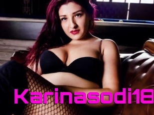 Karinasodi18