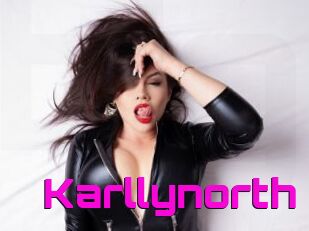 Karllynorth