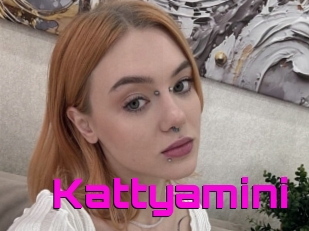 Kattyamini