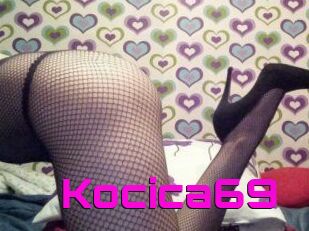 Kocica69