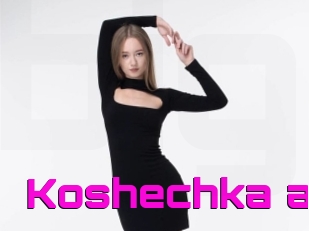 Koshechka_a