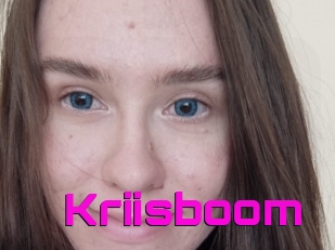 Kriisboom