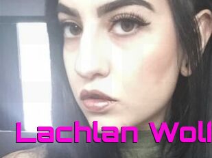 Lachlan_Wolf