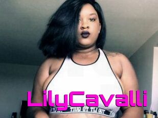 Lily_Cavalli
