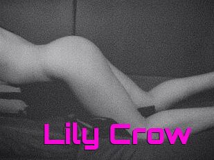 Lily_Crow