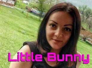 Little_Bunny_