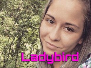 Ladybird
