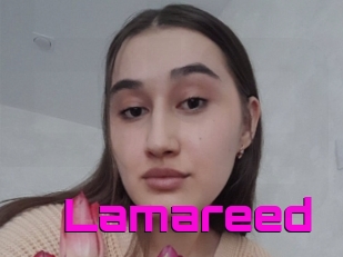 Lamareed