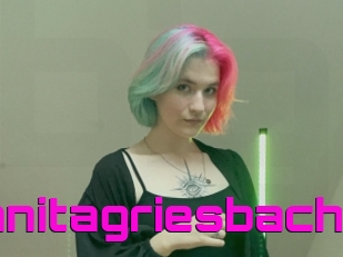 Lanitagriesbach