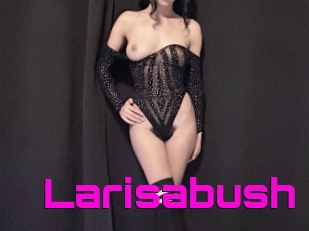 Larisabush