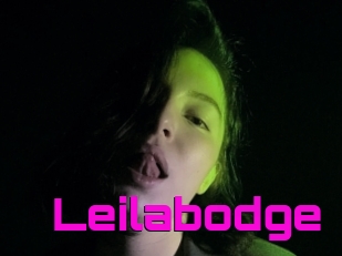 Leilabodge