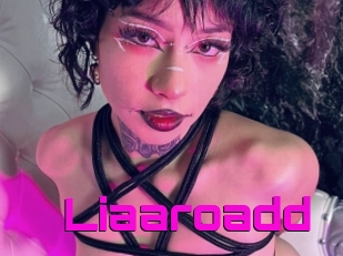 Liaaroadd
