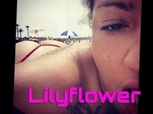 Lilyflower