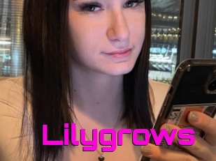 Lilygrows