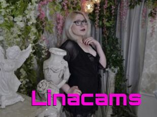 Linacams