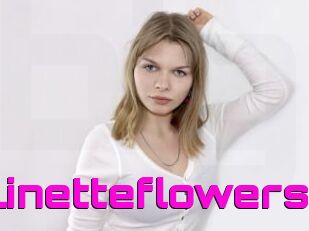 Linetteflowers