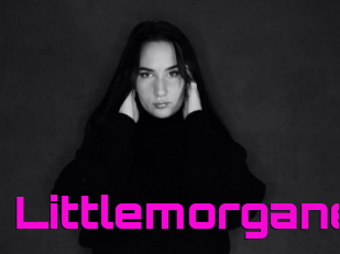 Littlemorgane