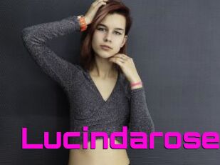 Lucindarose
