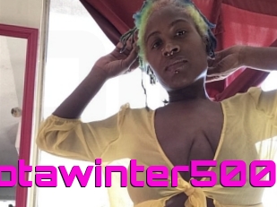 Minnysotawinter500