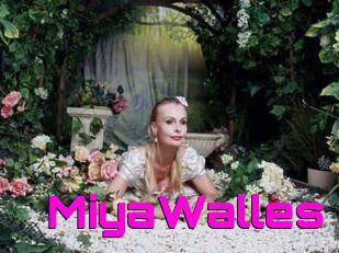 MiyaWalles