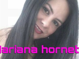 Mariana_hornet