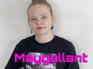 Maygallant