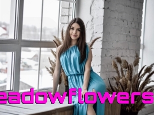 Meadowflowers