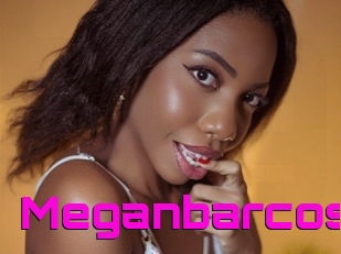 Meganbarcos