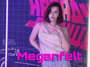 Meganfelt