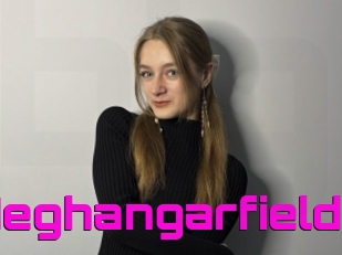 Meghangarfield