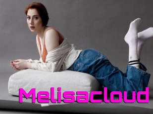 Melisacloud