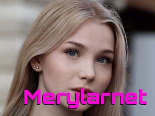 Merylarnet