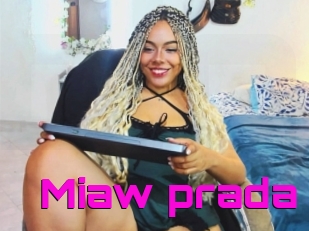 Miaw_prada