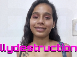 Millydestruction