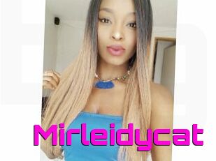 Mirleidycat