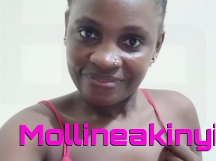 Mollineakinyi