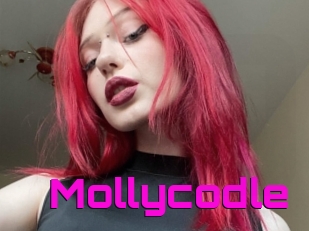 Mollycodle