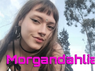 Morgandahlia