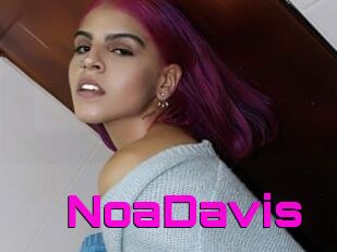 NoaDavis