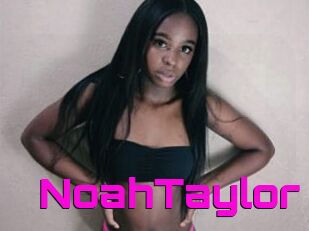 NoahTaylor