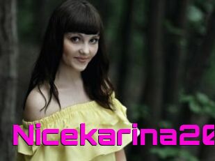 Nicekarina20