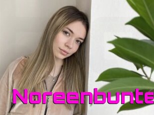 Noreenbunte