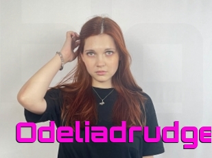 Odeliadrudge