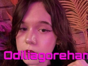 Odiliagoreham
