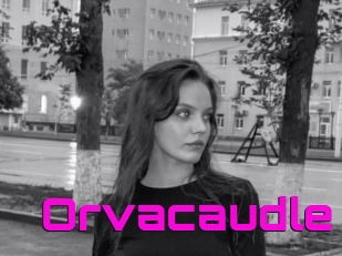 Orvacaudle