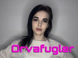 Orvafugler