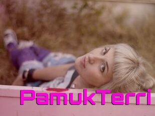 PamukTerri