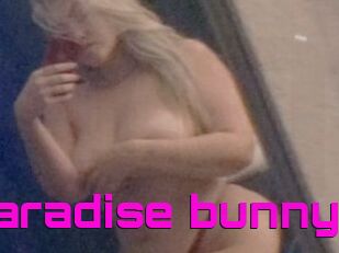 Paradise_bunny