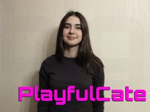 PlayfulCate