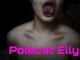 Polecat_Elly